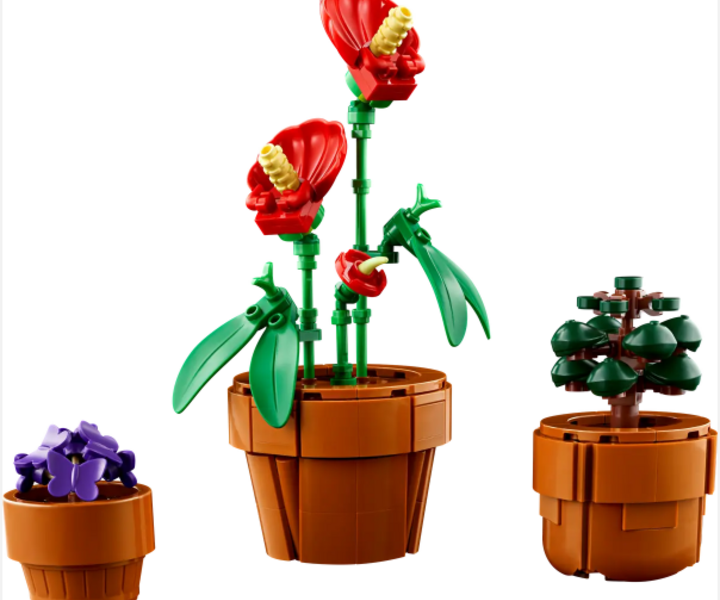 LEGO® 10329 Mini Pflanzen