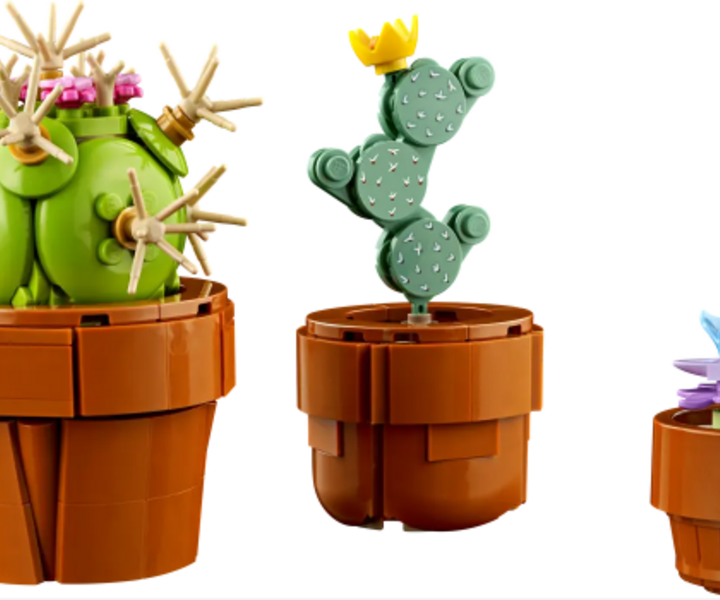 LEGO® 10329 Mini Pflanzen