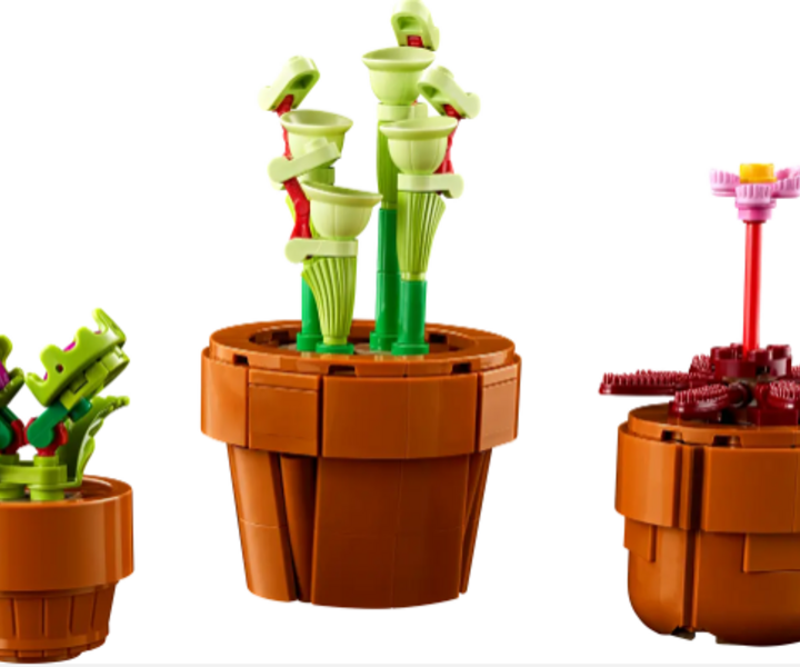LEGO® 10329 Tiny Plants