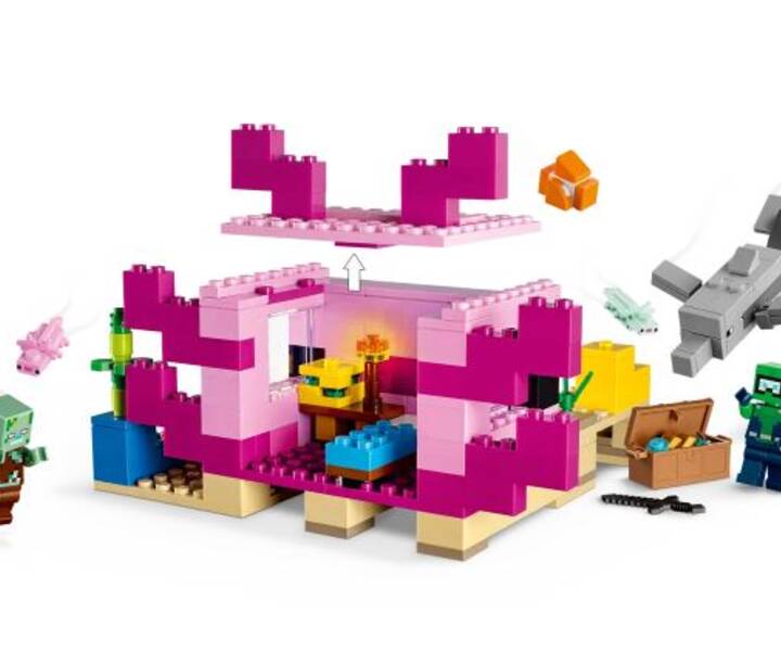 LEGO® 21247 The Axolotl House