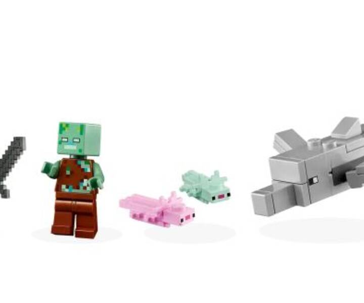 LEGO® 21247 Das Axolotl - Haus