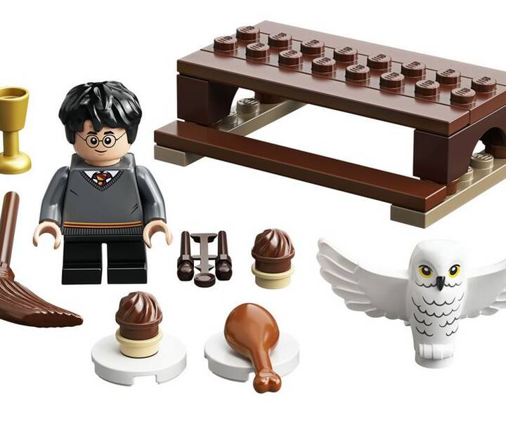 LEGO® 30420 Harry Potter und Hedwig Eulenlieferung