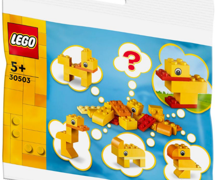 LEGO® 30503 Freies Bauen: Tiere - Du entscheidest!