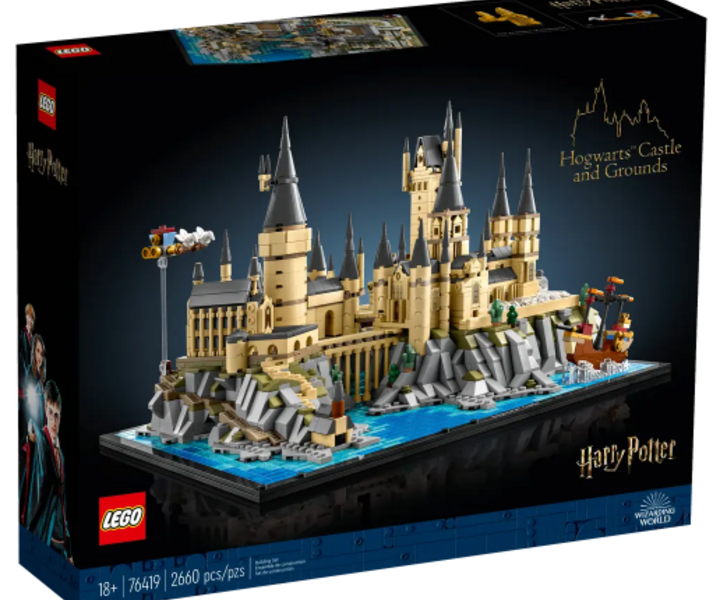 LEGO® 76419 Schloss Hogwarts™ mit Schlossgelände