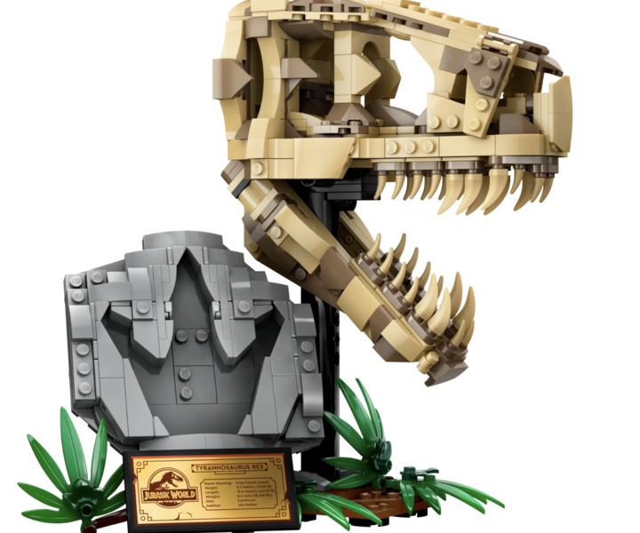 LEGO® 76964 Dinosaur Fossils: T. rex Skull